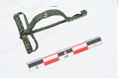 Foto von Bronzecertosafibel (NHMW-PRAE-026567)
